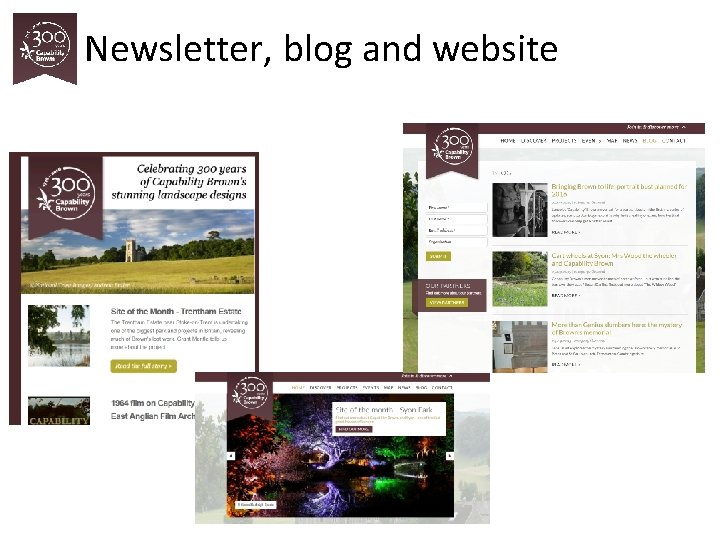 Newsletter, blog and website 