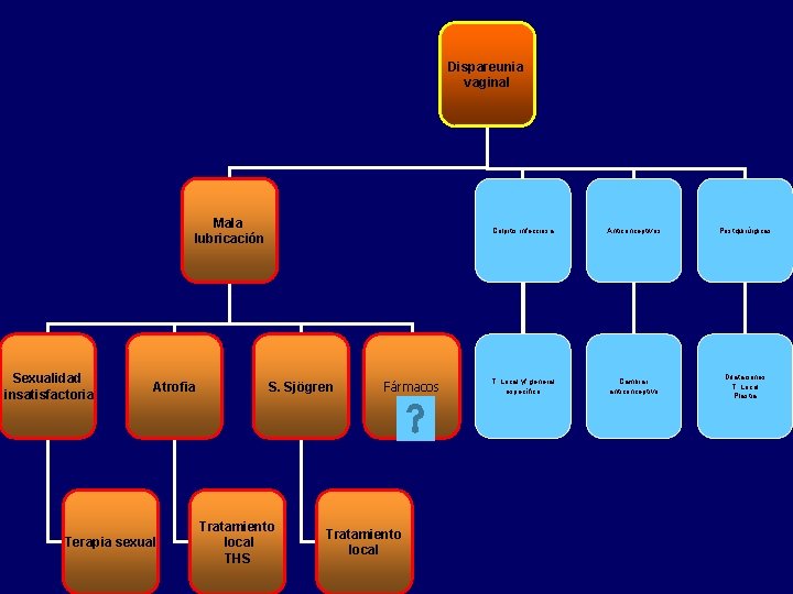 Dispareunia vaginal Mala lubricación Sexualidad insatisfactoria Atrofia Terapia sexual S. Sjögren Tratamiento local THS