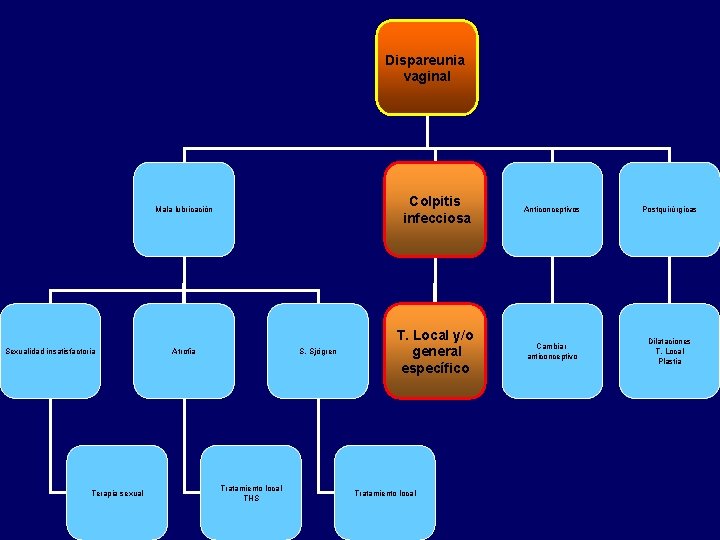 Dispareunia vaginal Sexualidad insatisfactoria Terapia sexual Mala lubricación Colpitis infecciosa Anticonceptivos Postquirúrgicas Atrofia T.