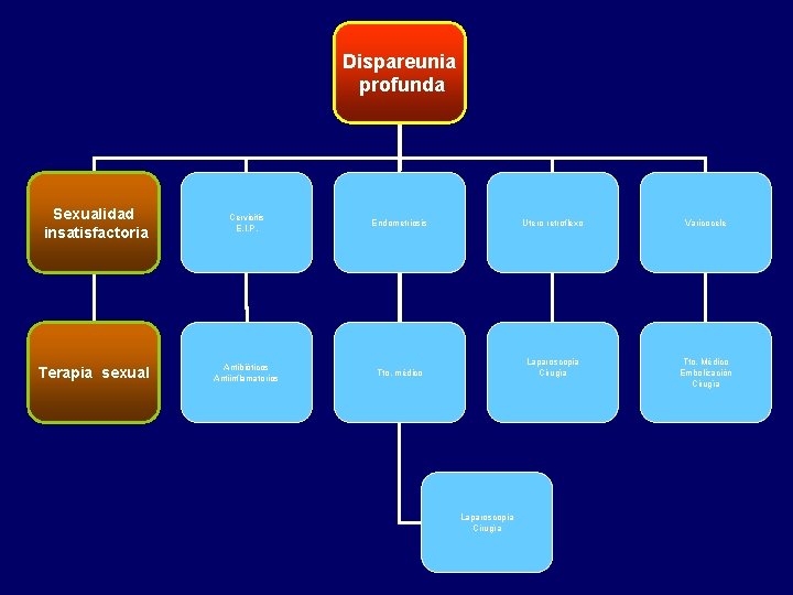 Dispareunia profunda Sexualidad insatisfactoria Cervicitis E. I. P. Endometriosis Utero retroflexo Varicocele Terapia sexual