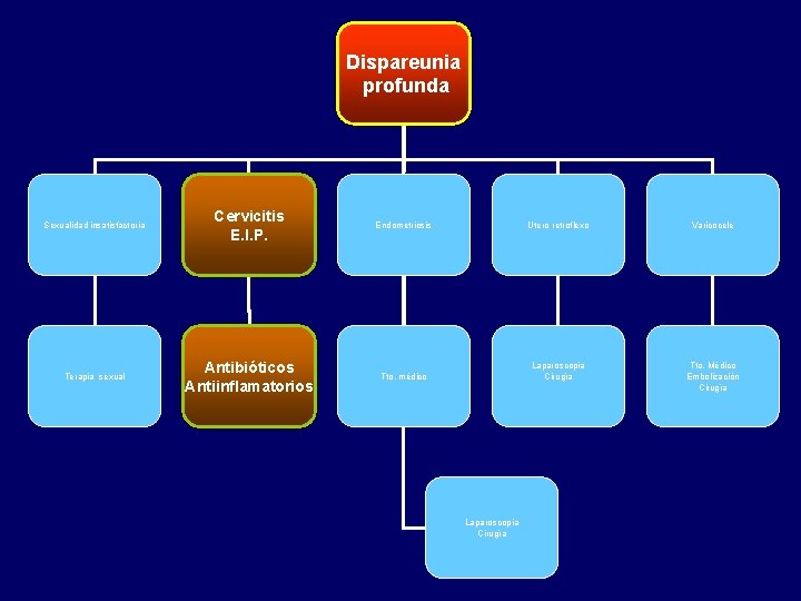 Dispareunia profunda Sexualidad insatisfactoria Cervicitis E. I. P. Endometriosis Utero retroflexo Varicocele Terapia sexual