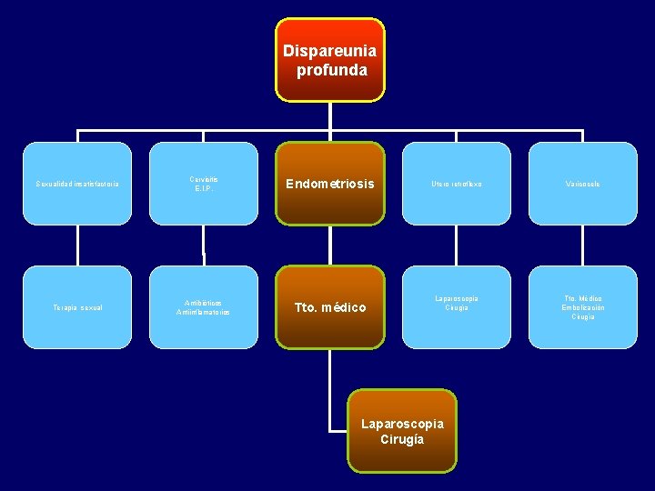Dispareunia profunda Sexualidad insatisfactoria Cervicitis E. I. P. Endometriosis Utero retroflexo Varicocele Terapia sexual