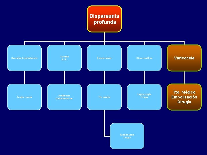 Dispareunia profunda Sexualidad insatisfactoria Cervicitis E. I. P. Terapia sexual Antibióticos Antiinflamatorios Endometriosis Utero