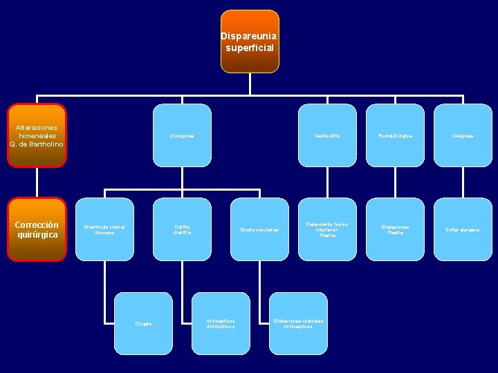 Dispareunia superficial Alteraciones himeneales Q. de Bartholino Corrección quirúrgica Urológicas Divertículo uretral Absceso Cistitis