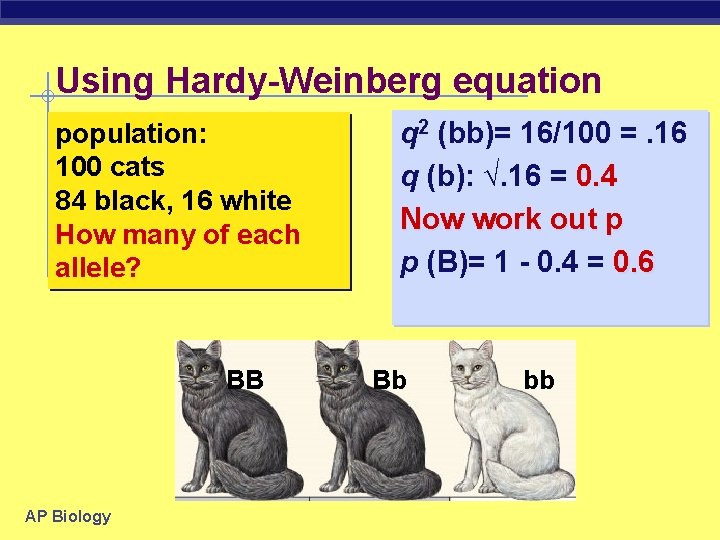 Using Hardy-Weinberg equation population: 100 cats 84 black, 16 white How many of each