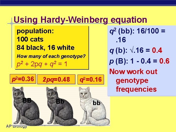 Using Hardy-Weinberg equation population: 100 cats 84 black, 16 white How many of each