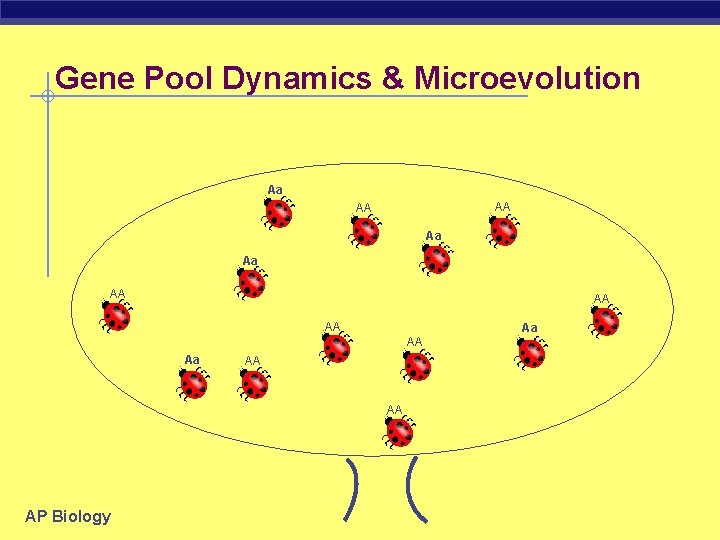 Gene Pool Dynamics & Microevolution Aa AA AA Aa Aa AA AA AA Aa