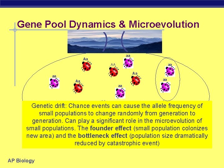 Gene Pool Dynamics & Microevolution aa Aa aa AA Aa aa aa AA Aa