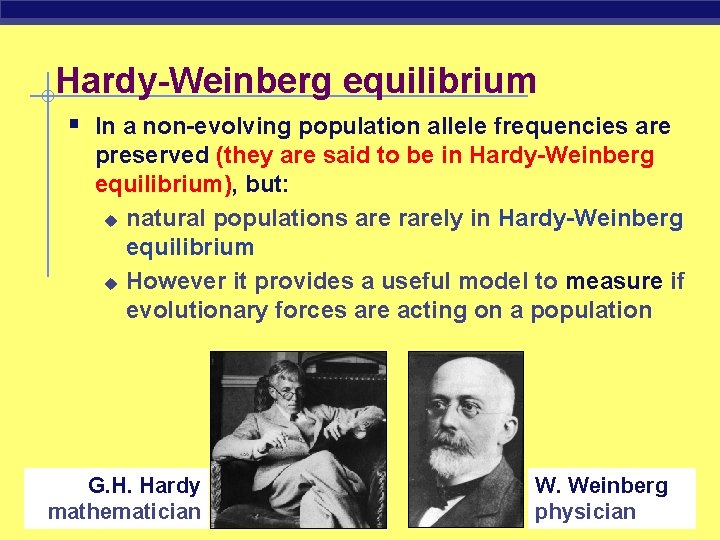 Hardy-Weinberg equilibrium § In a non-evolving population allele frequencies are preserved (they are said