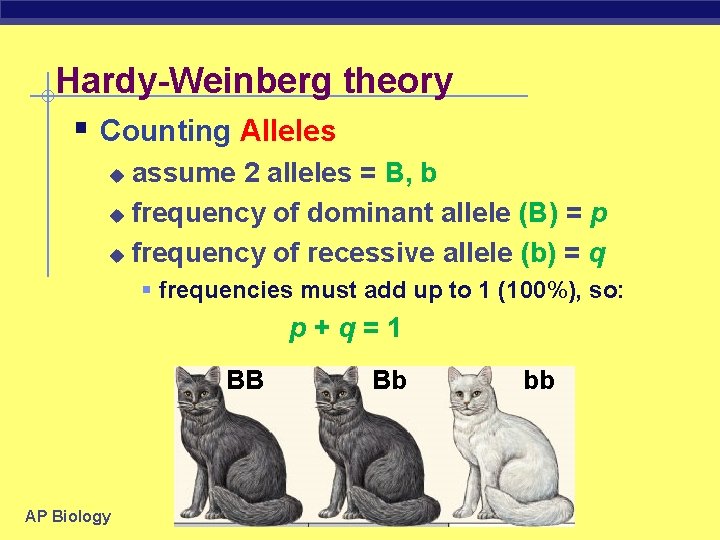 Hardy-Weinberg theory § Counting Alleles assume 2 alleles = B, b u frequency of