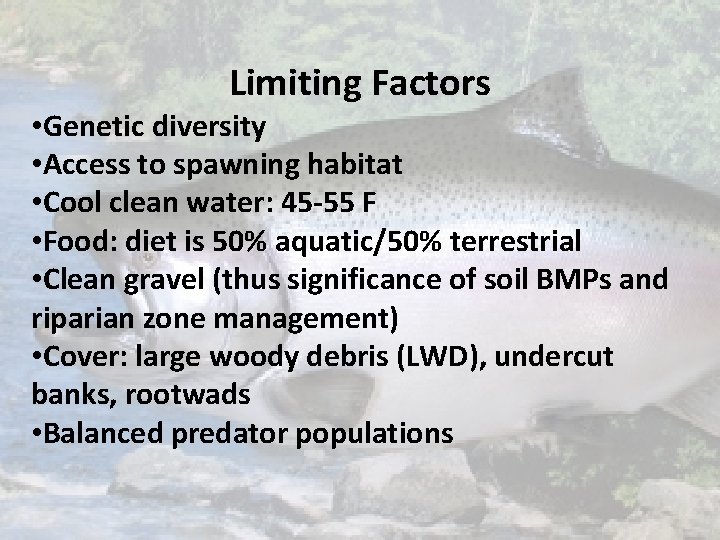 Limiting Factors • Genetic diversity • Access to spawning habitat • Cool clean water: