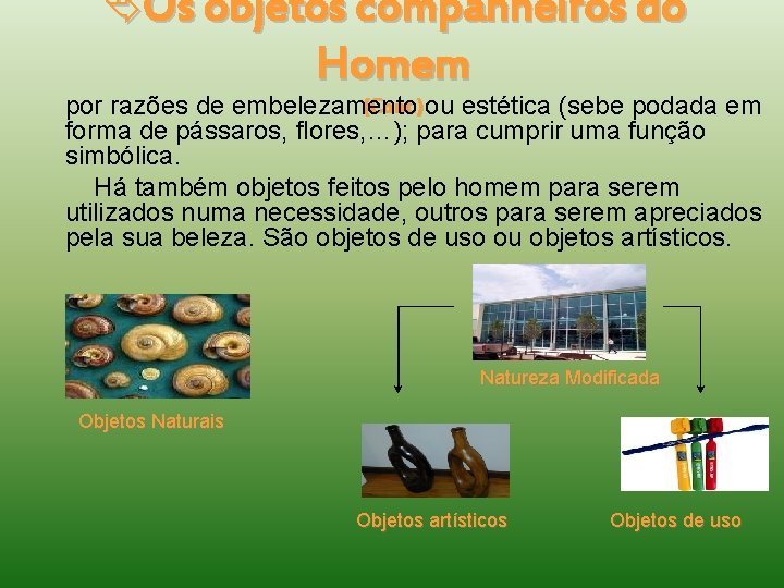  Os objetos companheiros do Homem (Cont. ) ou estética (sebe podada em por