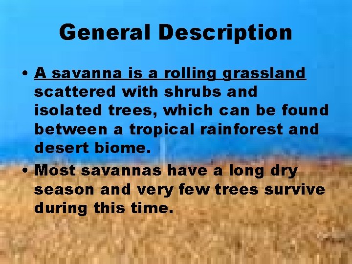 General Description • A savanna is a rolling grassland scattered with shrubs and isolated