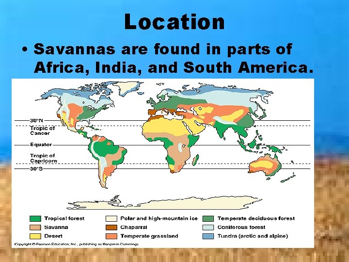 Location • Savannas are found in parts of Africa, India, and South America. 