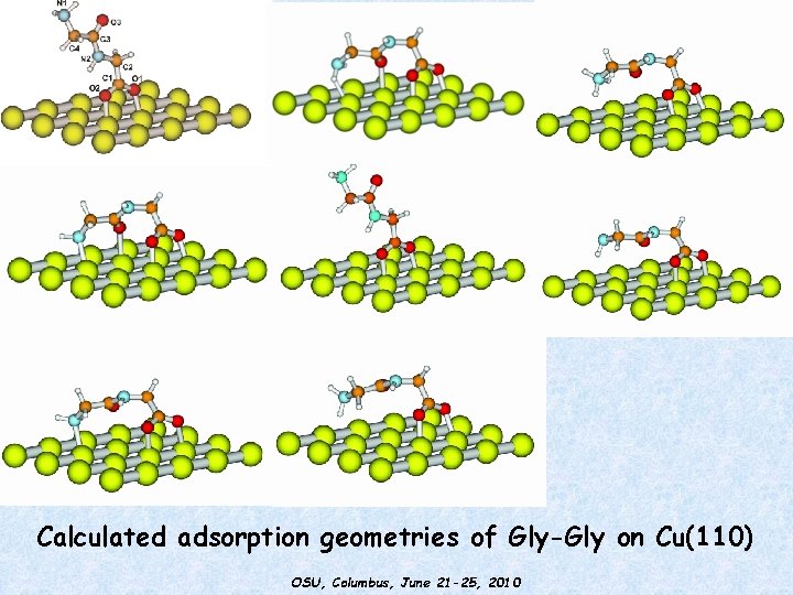 Materials Science Beamline Calculated adsorption geometries of Gly-Gly on Cu(110) OSU, Columbus, June 21