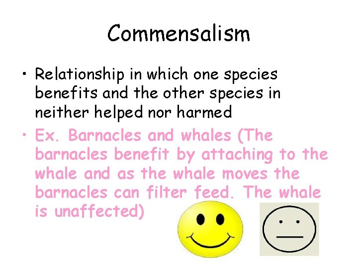 Commensalism • Relationship in which one species benefits and the other species in neither