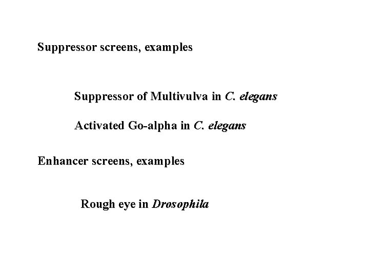 Suppressor screens, examples Suppressor of Multivulva in C. elegans Activated Go-alpha in C. elegans