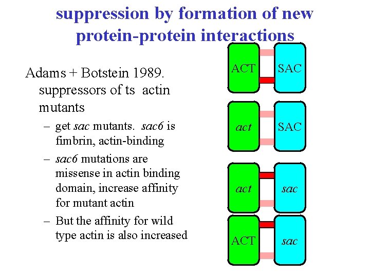suppression by formation of new protein-protein interactions Adams + Botstein 1989. suppressors of ts