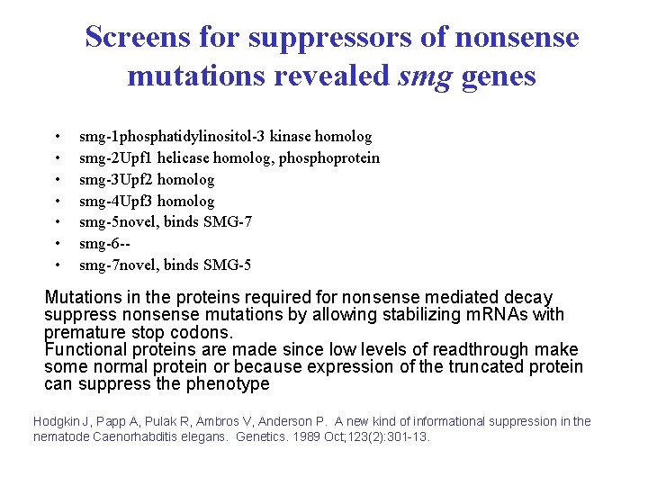 Screens for suppressors of nonsense mutations revealed smg genes • • smg-1 phosphatidylinositol-3 kinase