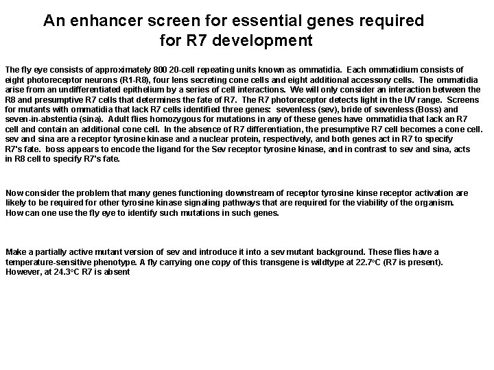 An enhancer screen for essential genes required for R 7 development The fly eye