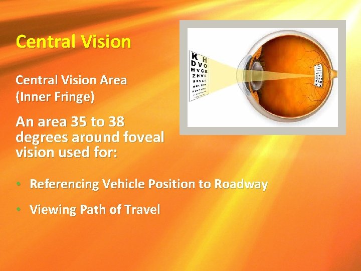 Central Vision Area (Inner Fringe) An area 35 to 38 degrees around foveal vision Central Vision Area (Inner Fringe) An area 35 to 38 degrees around foveal vision