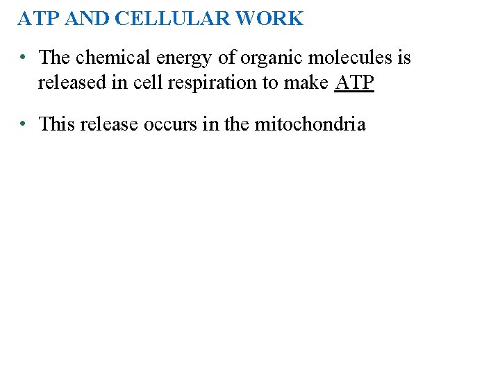 ATP AND CELLULAR WORK • The chemical energy of organic molecules is released in