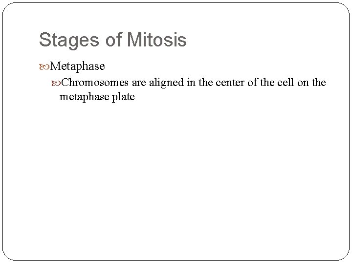 Stages of Mitosis Metaphase Chromosomes are aligned in the center of the cell on