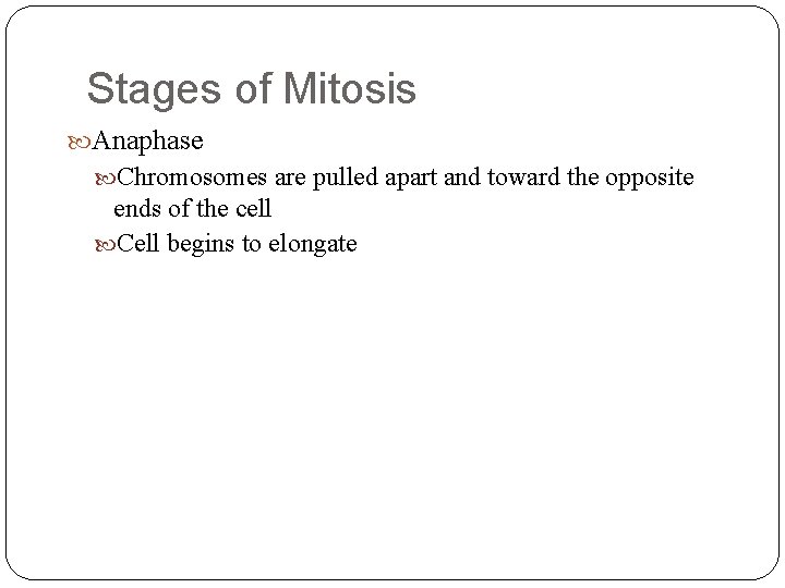 Stages of Mitosis Anaphase Chromosomes are pulled apart and toward the opposite ends of Stages of Mitosis Anaphase Chromosomes are pulled apart and toward the opposite ends of