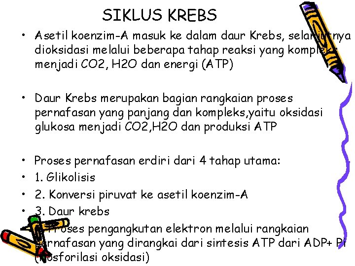 SIKLUS KREBS • Asetil koenzim-A masuk ke dalam daur Krebs, selanjutnya dioksidasi melalui beberapa