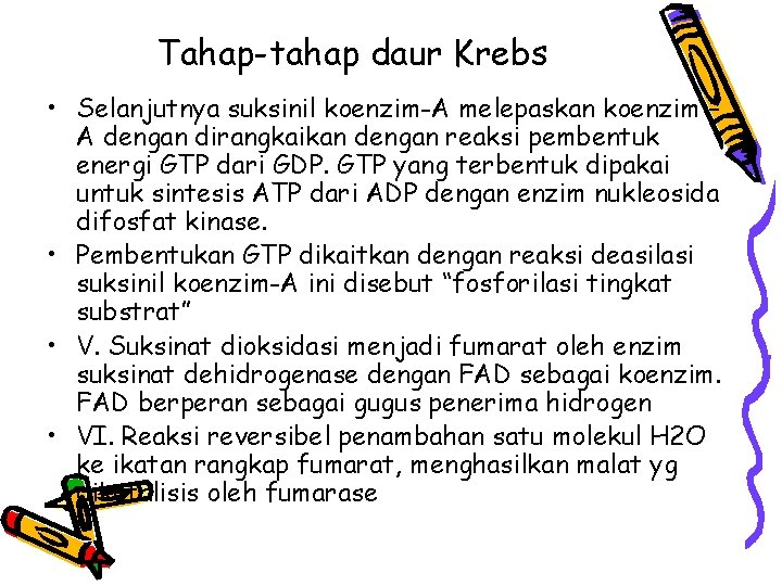 Tahap-tahap daur Krebs • Selanjutnya suksinil koenzim-A melepaskan koenzim – A dengan dirangkaikan dengan