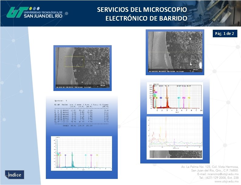 SERVICIOS DEL MICROSCOPIO ELECTRÓNICO DE BARRIDO Pág. 1 de 2 Índice 