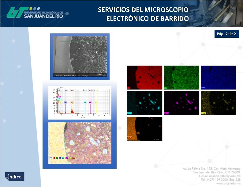 SERVICIOS DEL MICROSCOPIO ELECTRÓNICO DE BARRIDO Pág. 2 de 2 Índice 