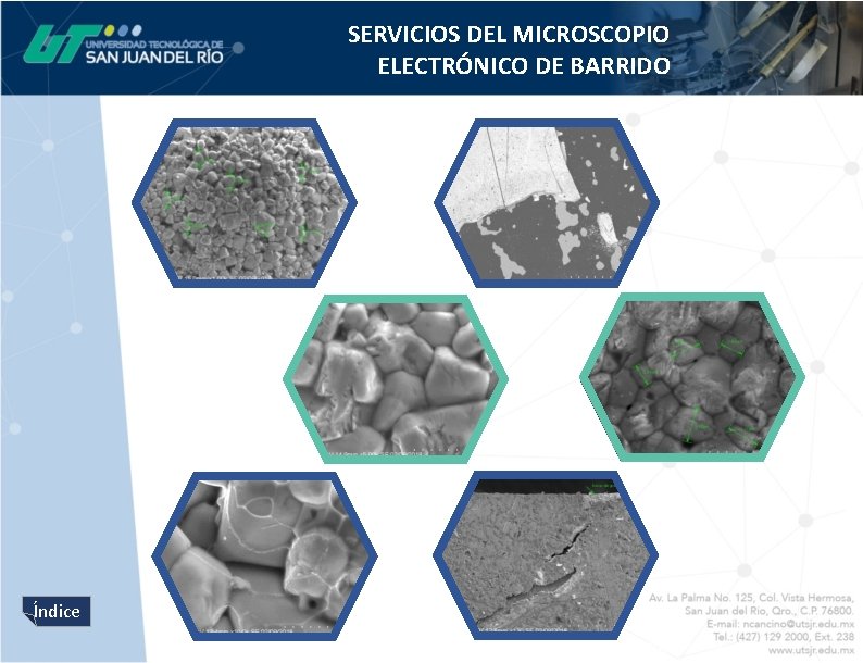 SERVICIOS DEL MICROSCOPIO ELECTRÓNICO DE BARRIDO Índice 