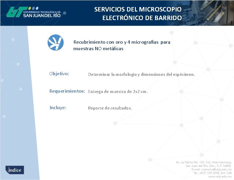 SERVICIOS DEL MICROSCOPIO ELECTRÓNICO DE BARRIDO Recubrimiento con oro y 4 micrografías para muestras
