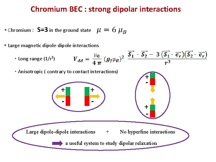Chromium BEC : strong dipolar interactions § Chromium : S=3 in the ground state