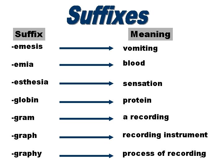 Suffixes (emesis–graphy) Meaning -emesis vomiting -emia blood -esthesia sensation -globin protein -gram a recording Suffixes (emesis–graphy) Meaning -emesis vomiting -emia blood -esthesia sensation -globin protein -gram a recording