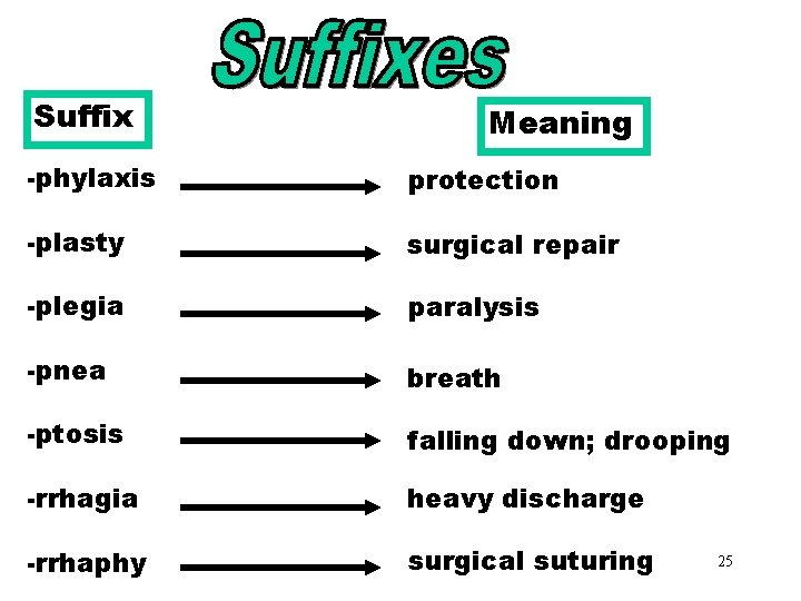 Suffixes (phylaxis-rrhaphy) Meaning -phylaxis protection -plasty surgical repair -plegia paralysis -pnea breath -ptosis falling Suffixes (phylaxis-rrhaphy) Meaning -phylaxis protection -plasty surgical repair -plegia paralysis -pnea breath -ptosis falling