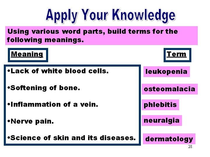 Apply Your Knowledge Part 2 Using various word parts, build terms for the following Apply Your Knowledge Part 2 Using various word parts, build terms for the following