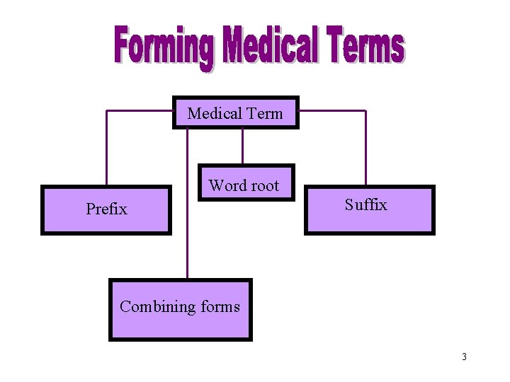 Forming Medical Terms Medical Term Word root Prefix Suffix Combining forms 3 Forming Medical Terms Medical Term Word root Prefix Suffix Combining forms 3