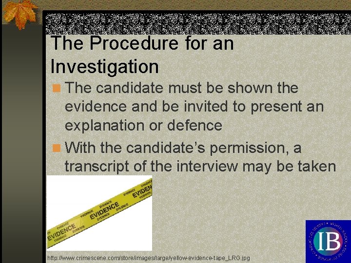 The Procedure for an Investigation n The candidate must be shown the evidence and