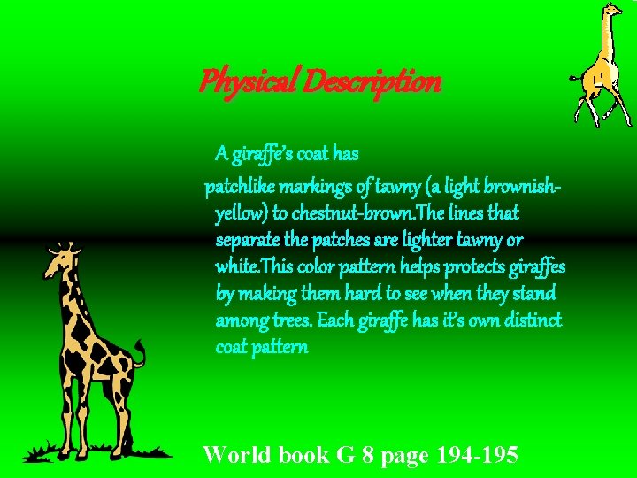 Physical Description A giraffe’s coat has patchlike markings of tawny (a light brownishyellow) to