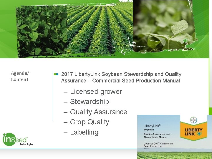 Agenda/ Content 2017 Liberty. Link Soybean Stewardship and Quality Assurance – Commercial Seed Production