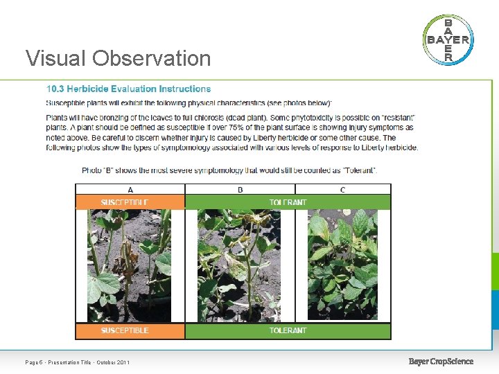 Visual Observation Page 5 • Presentation Title • October 2011 