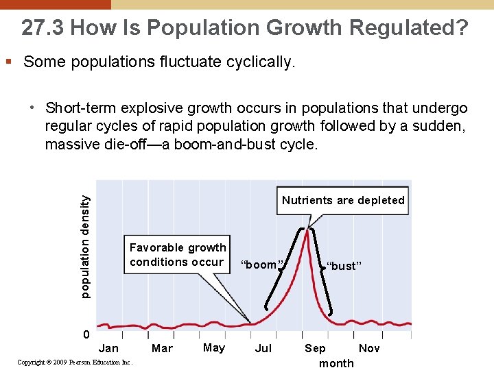 27. 3 How Is Population Growth Regulated? § Some populations fluctuate cyclically. • Short-term