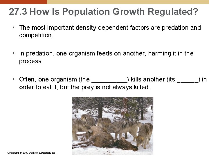 27. 3 How Is Population Growth Regulated? • The most important density-dependent factors are