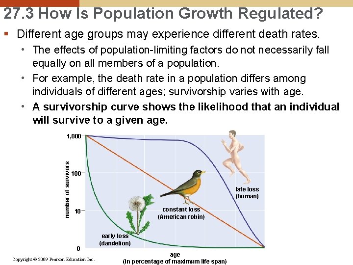 27. 3 How Is Population Growth Regulated? § Different age groups may experience different