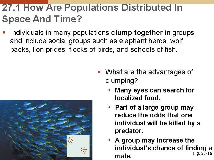 27. 1 How Are Populations Distributed In Space And Time? § Individuals in many