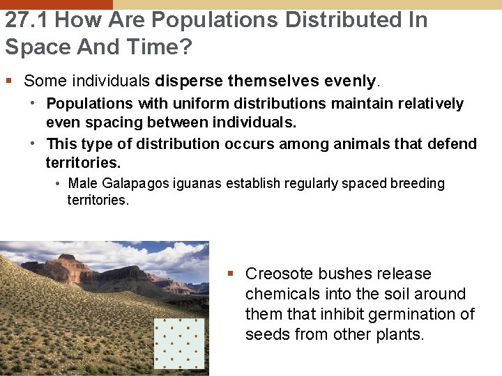 27. 1 How Are Populations Distributed In Space And Time? § Some individuals disperse