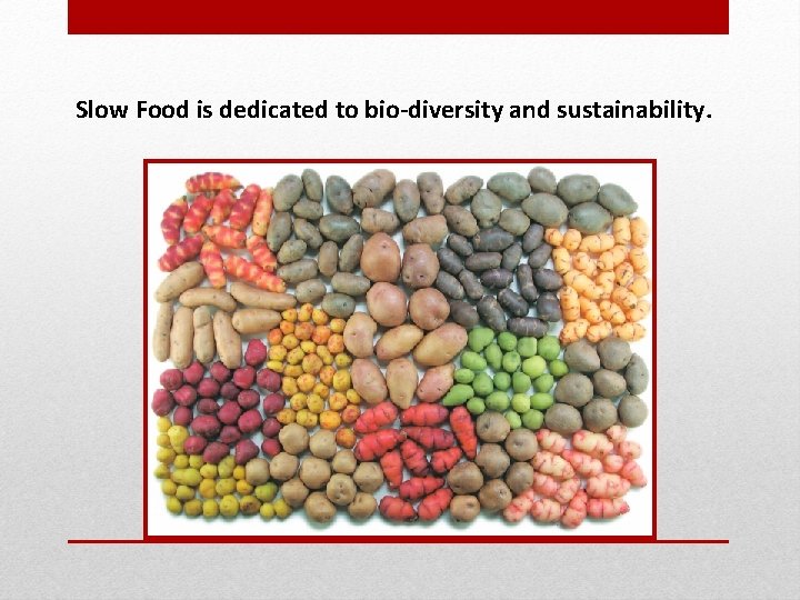 Slow Food is dedicated to bio-diversity and sustainability. 