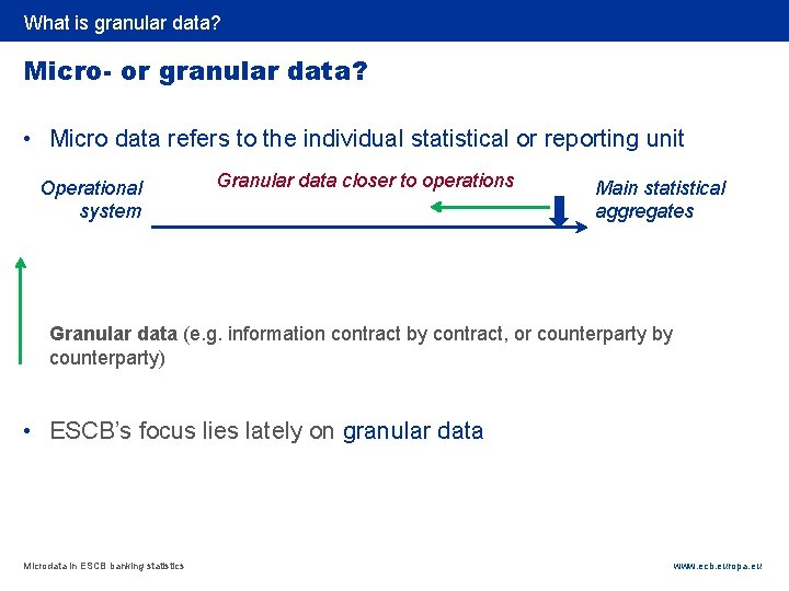 Rubric What is granular data? Micro- or granular data? • Micro data refers to